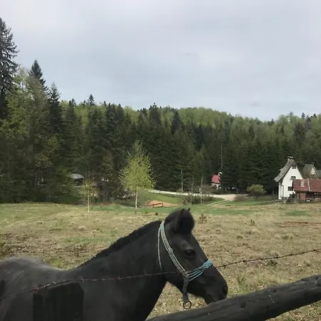 Vikendica Ponijeri * Kakanj